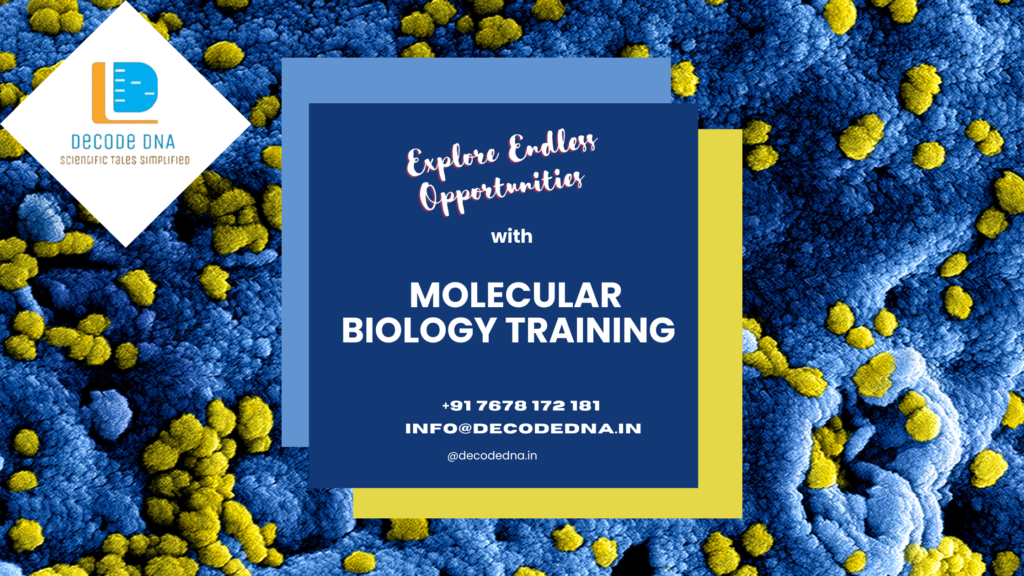 molecular biology training program